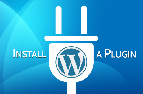 best WordPress Plugin