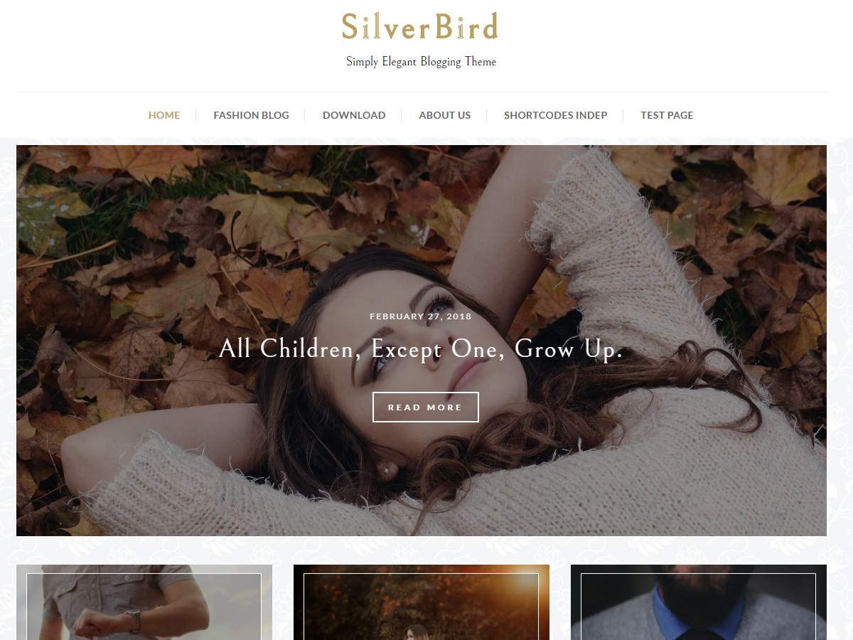 Silverbird - Elegant WordPress Blog Theme