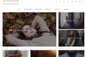 Silverbird - Elegant WordPress Blog Theme