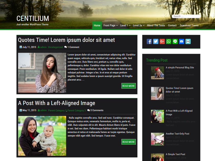 Centilium WordPress Theme