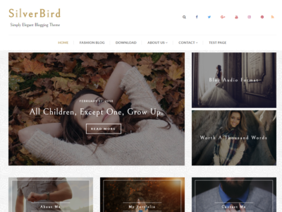 Silverbird - Elegant WordPress Blog Theme